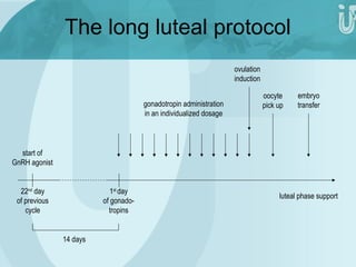 22nd day 
of previous 
cycle 
14 days 
1st day 
of gonado-tropins 
gonadotropin administration 
in an individualized dosage 
ovulation 
induction 
oocyte 
pick up 
embryo 
transfer 
luteal phase support 
start of 
GnRH agonist 
The long luteal protocol 
 