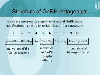 Structure of GnRH antagonists 
to achieve antagonistic properties of natural GnRH more 
modifications than only in position 6 and 10 are necessary 
1 2 3 4 5 6 7 8 9 10 
pyro (Glu) – His – Trp – Ser – Tyr – Gly – Leu – Arg – Pro – Gly – NH2 
activation of the 
GnRH receptor 
regulation 
of GnRH 
receptor 
affinity 
regulation of 
biologic activity 
 
