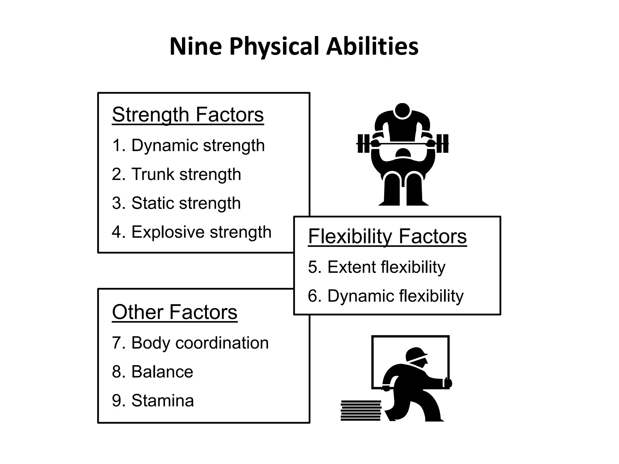 Nine Physical Abilities
Other Factors
7. Body coordination
8. Balance
9. Stamina
Strength Factors
1. Dynamic strength
2. Trunk strength
3. Static strength
4. Explosive strength Flexibility Factors
5. Extent flexibility
6. Dynamic flexibility
 