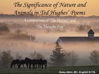 The Significance of Nature and
Animals in Ted Hughes’ Poems
A comparison of “The Horses” and
“The Thought-Fox”
Daisy Atkin, IB1, English A1 HL
 