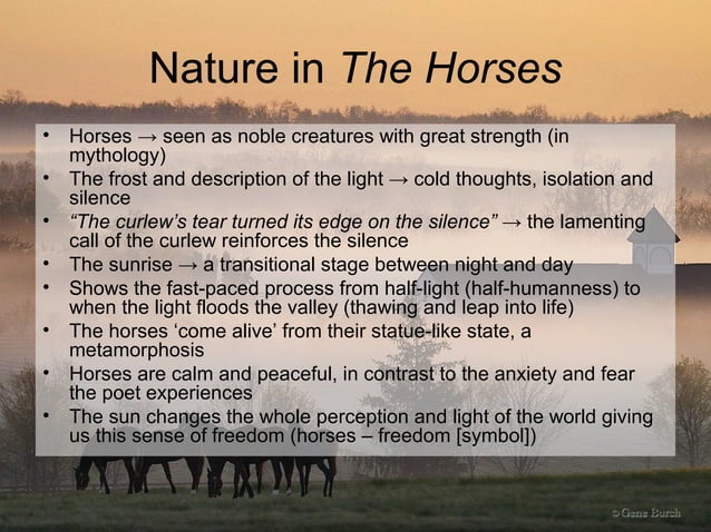 Comparison Between Ted Hughes' "The Thought-Fox" and "The Horses" | PPT ...