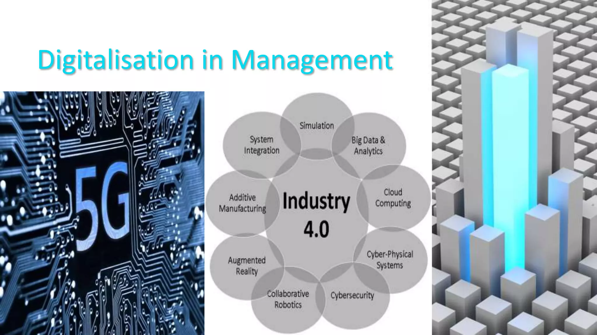 Digitalisation in Management
 