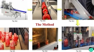 The Method
8
Fig: 2(a) Fig: 2(b) Fig: 2(c)
Fig: 2(f) Fig: 2(e) Fig: 2(d)
 