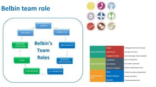 Belbin team role
 