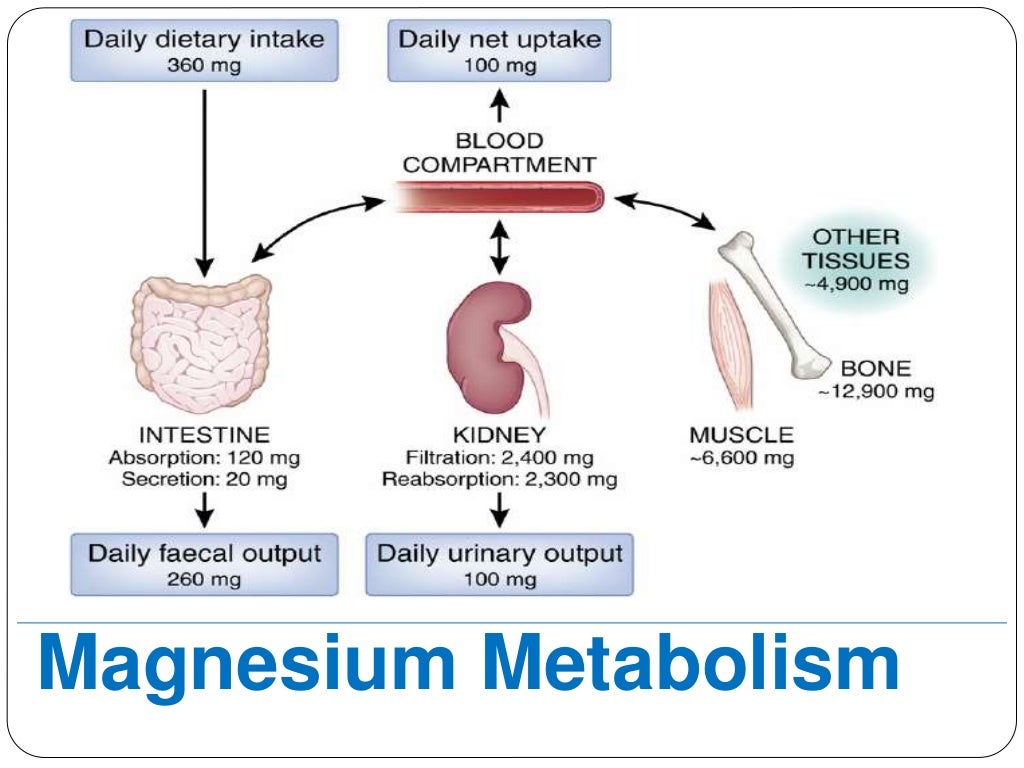 Magnesium