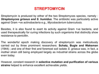 STREPTOMYCIN
Streptomycin is produced by either of the two Streptomyces species, namely :
Streptomyces griseus and S. humidus. The antibiotic was particularly active
against Gram +ve actinobacteria e.g., Mycobacterium tuberculosis.
Besides, it is also found to exert its activity against Gram +ve bacteria, and
used therapeutically for curing infections by such organisms that distinctly show
resistance to penicillin.
The wonderful epoch making discovery of streptomycin was meticulously
carried out by three prominent researchers: Schatz, Bugie and Waksman
(1944) ; and one of their first and foremost soil isolate S. griseus was, in fact, a
mother strain still being employed largely as industrial strains across the globe
even today.
However, constant research in selective mutation and purification of various
strains helped to enhance excellent achievable yields.
 