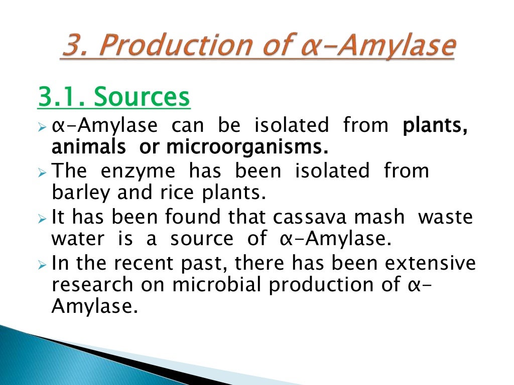 amylases enzymes production
