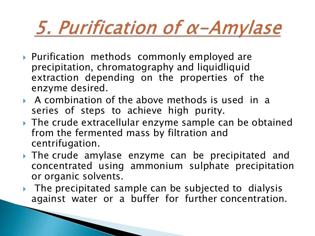 amylases enzymes production