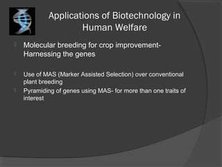 Applications of Biotechnology in
Human Welfare
 Molecular breeding for crop improvement-
Harnessing the genes
 Use of MAS (Marker Assisted Selection) over conventional
plant breeding
 Pyramiding of genes using MAS- for more than one traits of
interest
 