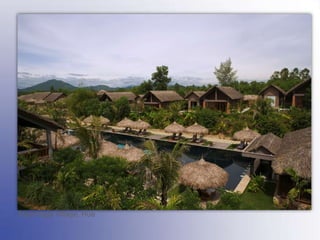 Hotel Management, Consultancy