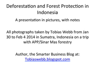Deforesta)on	
  and	
  Forest	
  Protec)on	
  in	
  
Indonesia	
  
A	
  presenta)on	
  in	
  pictures,	
  with	
  notes	
  
	
  
All	
  photographs	
  taken	
  by	
  Tobias	
  Webb	
  from	
  Jan	
  
30	
  to	
  Feb	
  4	
  2014	
  in	
  Sumatra,	
  Indonesia	
  on	
  a	
  trip	
  
with	
  APP/Sinar	
  Mas	
  forestry	
  
	
  
Author,	
  the	
  Smarter	
  Business	
  Blog	
  at:	
  
Tobiaswebb.blogspot.com	
  	
  
	
  

 