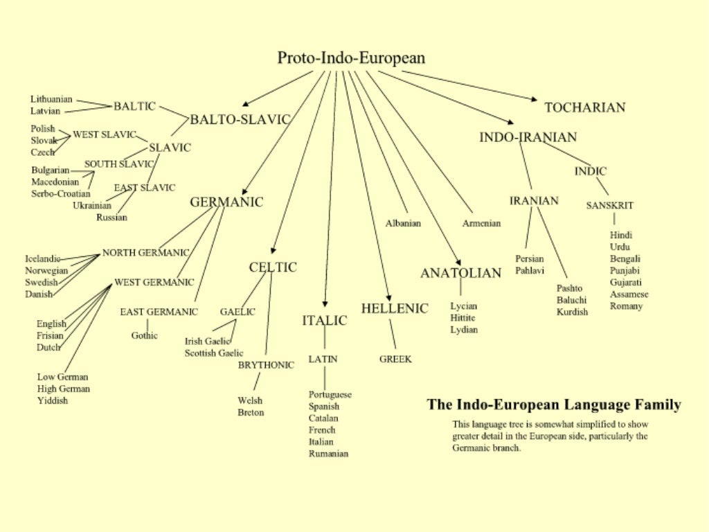Indo-European Language Tree