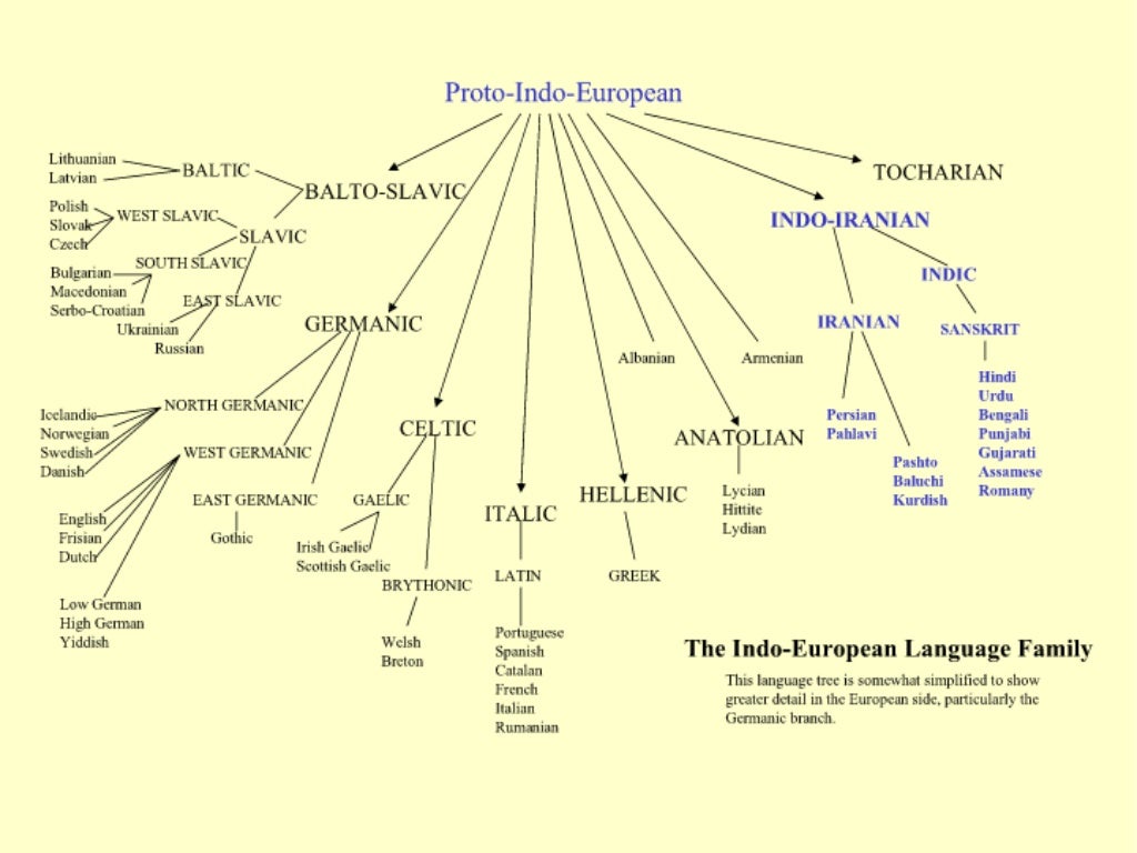 Indo European Language Tree Indo European Language Tree