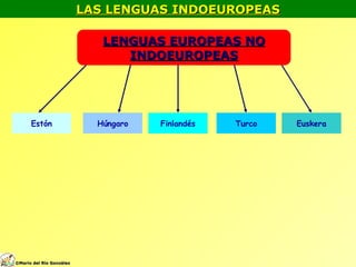 LAS LENGUAS INDOEUROPEAS LENGUAS EUROPEAS NO INDOEUROPEAS Estón Húngaro Finlandés Turco Euskera © Mario del Río González 