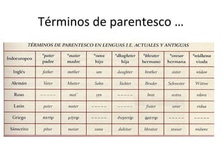 Términos de parentesco … 
 