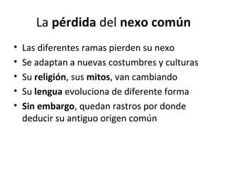 La pérdida del nexo común 
• Las diferentes ramas pierden su nexo 
• Se adaptan a nuevas costumbres y culturas 
• Su religión, sus mitos, van cambiando 
• Su lengua evoluciona de diferente forma 
• Sin embargo, quedan rastros por donde 
deducir su antiguo origen común 
 