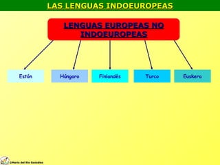 LAS LENGUAS INDOEUROPEASLAS LENGUAS INDOEUROPEAS
LENGUAS EUROPEAS NOLENGUAS EUROPEAS NO
INDOEUROPEASINDOEUROPEAS
Estón Húngaro Finlandés Turco Euskera
©©Mario del Río GonzálezMario del Río González
 