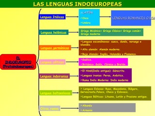 LAS LENGUAS INDOEUROPEAS
                                            LATÍN
                     Lenguas Itálicas       Osco                    LENGUAS ROMANCES O ROM
                                            Umbro


                                            Griego Micénico> Griego Clásico> Griego común>
                     Lenguas helénicas      Griego moderno

                                            Lenguas escandinavas: sueco, danés, noruego e
                                            islandés.
                     Lenguas germánicas     Alto alemán: Alemán moderno.
                                            Bajo Alemán: Inglés, Holandés y Flamenco.
        EL                                  Gaélico.
 INDOEUROPEO         Lenguas célticas
                                            Británico: Galés, Córnico y Bretón
(Protoindoeuropeo)
                                            El Hindi(Indio antiguo): Sánscrito.

                     Lenguas indoiranias    Lenguas iranias: Persa, Avéstico.
                                            Rama India Moderna: Indio moderno


                                             Lenguas Eslavas: Ruso, Macedonio, Búlgaro,
                     Lenguas baltoeslavas   Servocroata,Polaco, Checo y Eslovaco.
                                            Lenguas Bálticas: Lituano, Letón y Prusiano antiguo.


                                            Albanés
                     Otras ramas            Armenio
 