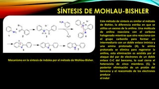 SÍNTESIS DE MOHLAU-BISHLER
Este método de síntesis es similar al método
de Bishler, la diferencia estriba en que se
utiliza un exceso de la anilina. Una molécula
de anilina reacciona con el carbono
halogenado mientras que otra reacciona con
el grupo carbonilo para formar un
intermediario con un doble enlace imínico y
una amina protonada (4), la amina
protonada se elimina para regenerar la
anilina, esta eliminación es asistida por el
ataque del par de electrones de un doble
enlace C=C del benceno, lo cual cierra el
heterociclo de cinco miembros (5), la
posterior eliminación de un protón del
benceno y el reacomodo de los electrones
produce
el indol
Mecanismo en la síntesis de indoles por el método de Mohlau-Bisher.
 