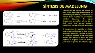 SÍNTESIS DE MADELUNG
Este proceso de síntesis de indoles se
lleva acabo mediante la ciclación de N-
(ometilfenil)alquilamida, para lo cual se
utilizan bases fuertes en condiciones
anhidras (ausencia de agua).
Actualmente se prefiere el uso de N-
BuLi como base porque requiere
condiciones de reacción más amigables
El mecanismo de reacción es similar
para ambas condiciones, la base extrae
un protón del metilo y uno de la amida,
el carbanión bencílico ataca al carbono
imínico para cerrar el anillo, el ácido
protona al oxígeno y este se elimina
junto con un protón del CH2 como agua
 