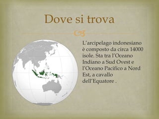 
Dove si trova
L’arcipelago indonesiano
è composto da circa 14000
isole. Sta tra l’Oceano
Indiano a Sud Ovest e
l’Oceano Pacifico a Nord
Est, a cavallo
dell’Equatore .
 
