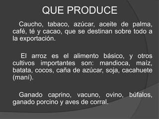 QUE PRODUCE
Caucho, tabaco, azúcar, aceite de palma,
café, té y cacao, que se destinan sobre todo a
la exportación.
El arroz es el alimento básico, y otros
cultivos importantes son: mandioca, maíz,
batata, cocos, caña de azúcar, soja, cacahuete
(maní).
Ganado caprino, vacuno, ovino, búfalos,
ganado porcino y aves de corral.
 