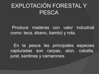 EXPLOTACIÓN FORESTAL Y
PESCA
Produce maderas con valor industrial
como: teca, ébano, bambú y rota.
En la pesca las principales especies
capturadas son carpas, atún, caballa,
jurel, sardinas y camarones.
 