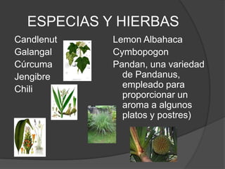 ESPECIAS Y HIERBAS
Candlenut
Galangal
Cúrcuma
Jengibre
Chili
Lemon Albahaca
Cymbopogon
Pandan, una variedad
de Pandanus,
empleado para
proporcionar un
aroma a algunos
platos y postres)
 