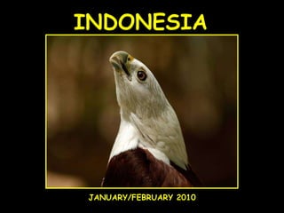 INDONESIA JANUARY/FEBRUARY 2010 