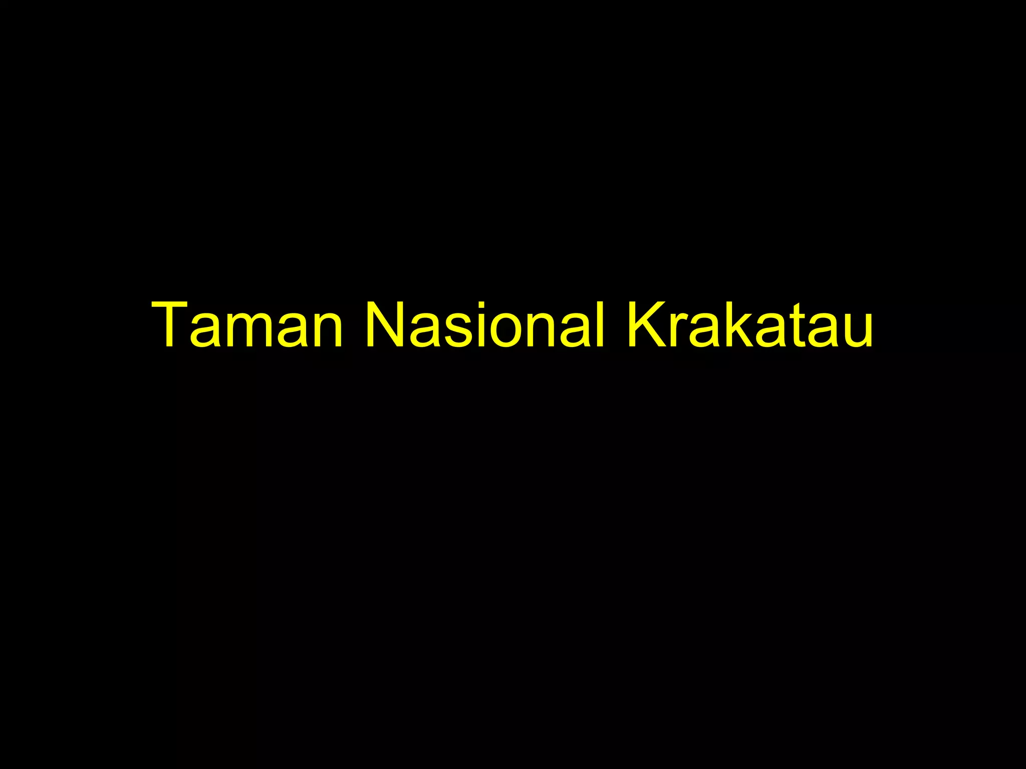 Taman Nasional Krakatau