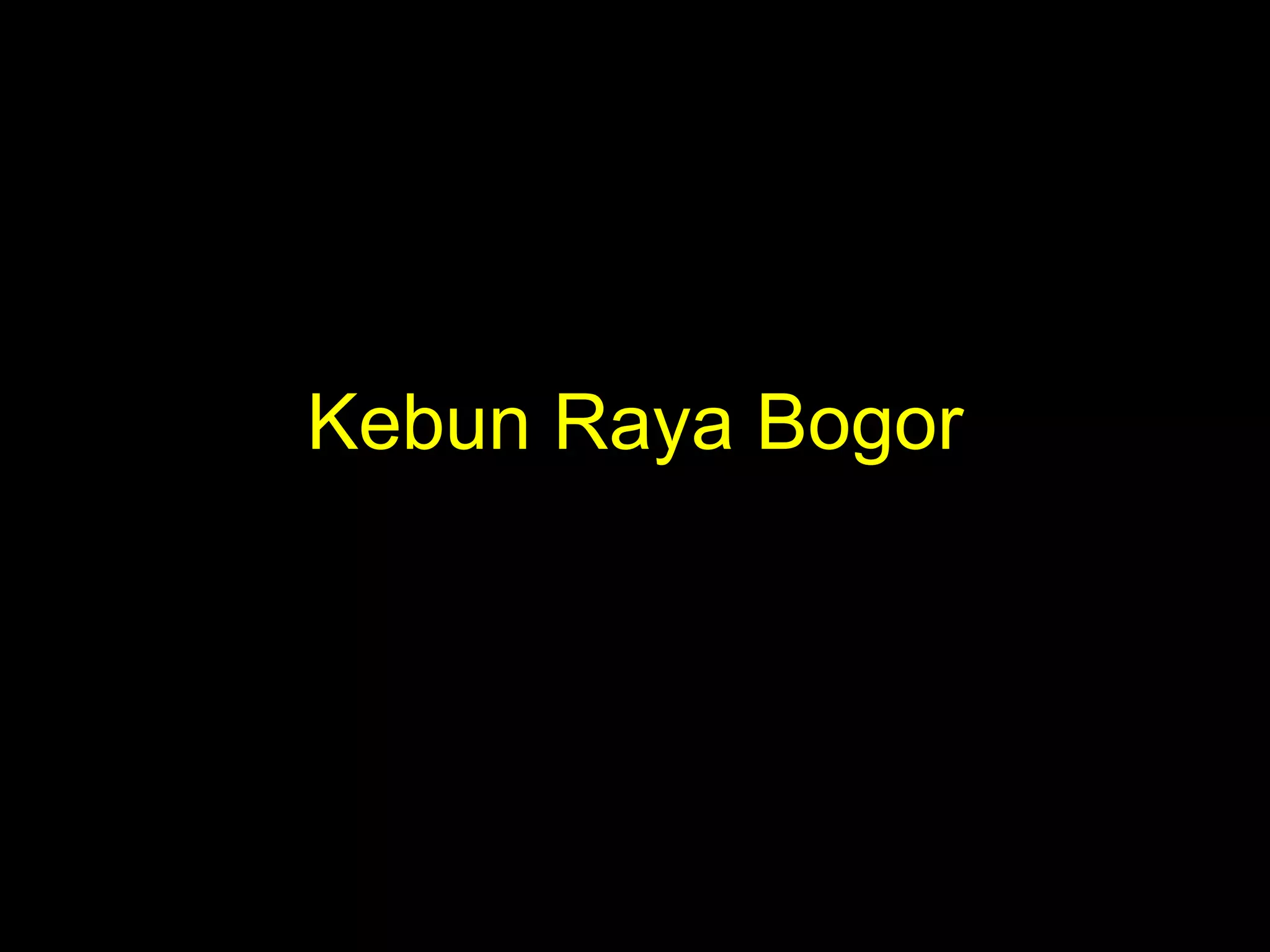 Kebun Raya Bogor