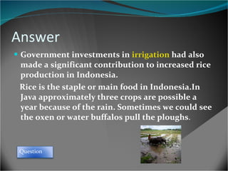 Answer Government investments in  irrigation  had also made a significant contribution to increased rice production in Indonesia . Rice is the staple or main food in Indonesia.In Java approximately three crops are possible a year because of the rain. Sometimes we could see the oxen or water buffalos pull the ploughs .  Question 