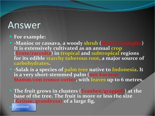 Answer For example: -Manioc or cassava, a woody  shrub  ( Busch/cespuglio ) It  is extensively cultivated as an annual  crop ( Ernte/raccolta )  in  tropical  and  subtropical  regions for its edible  starchy   tuberous root , a major source of  carbohydrates . -Salak  is a species of  palm tree  native to  Indonesia . It is a very short-stemmed  palm ( mit kurzem Stamm/con tronco corto) , with  leaves  up to 6 metres .  The fruit grows in clusters ( Trauben/grappoli ) at the base of the tree. The fruit is more or less the size ( Grösse,   grandezza)  of a large fig.  Question 