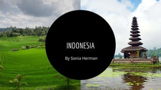 By Sonia Herman
INDONESIA
 