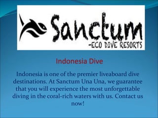 Indonesia is one of the premier liveaboard dive
destinations. At Sanctum Una Una, we guarantee
that you will experience the most unforgettable
diving in the coral-rich waters with us. Contact us
now!
 
