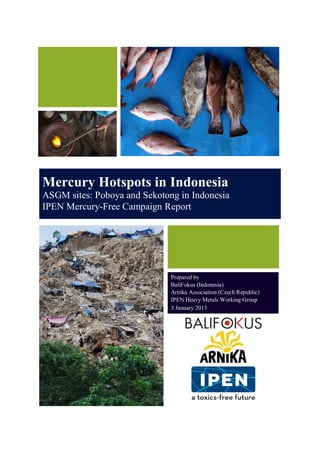Mercury Hotspots in Indonesia
ASGM sites: Poboya and Sekotong in Indonesia
IPEN Mercury-Free Campaign Report
Prepared by
BaliFokus (Indonesia)
Arnika Association (Czech Republic)
IPEN Heavy Metals Working Group
3 January 2013
 