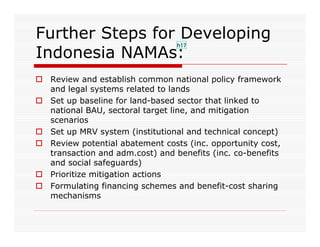Indonesia NAMAs concept: Land-based Sector