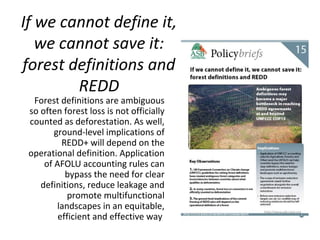 Indonesia NAMA success story