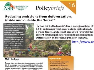 Indonesia NAMA success story