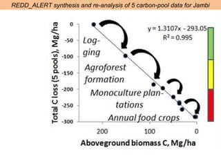 Indonesia NAMA success story