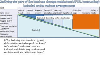 Indonesia NAMA success story