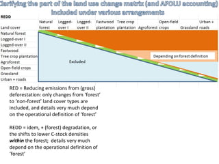 Indonesia NAMA success story