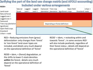 Indonesia NAMA success story