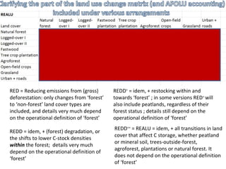 Indonesia NAMA success story