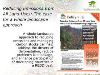 Indonesia NAMA success story