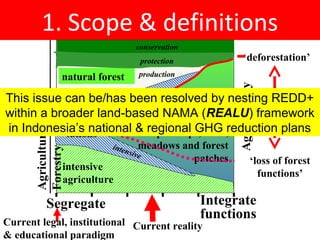 Indonesia NAMA success story
