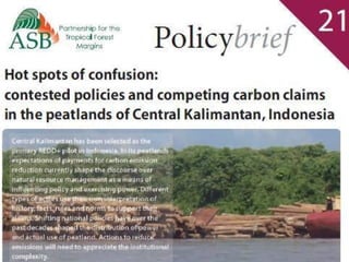 Indonesia NAMA success story