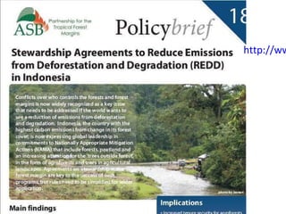 Indonesia NAMA success story