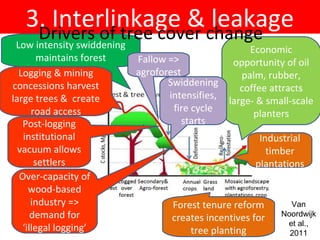 Indonesia NAMA success story