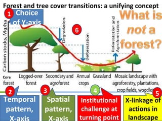 Indonesia NAMA success story
